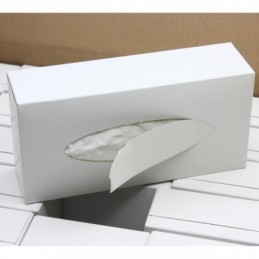 Papiertaschentücher Box Taschentuchbox Taschentücher box 100% Zellstoff  2-lagig 10 Karton